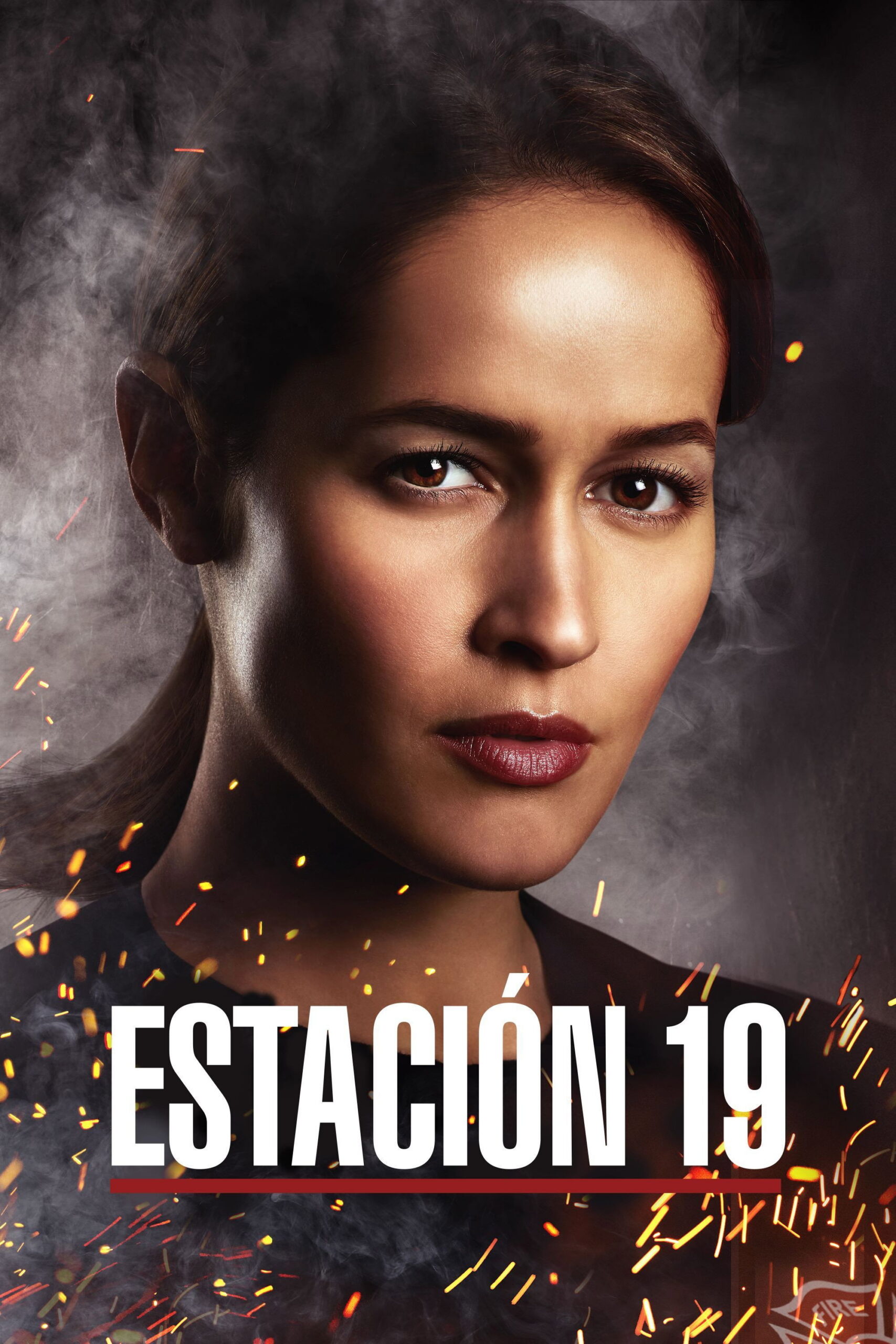 Estación 19