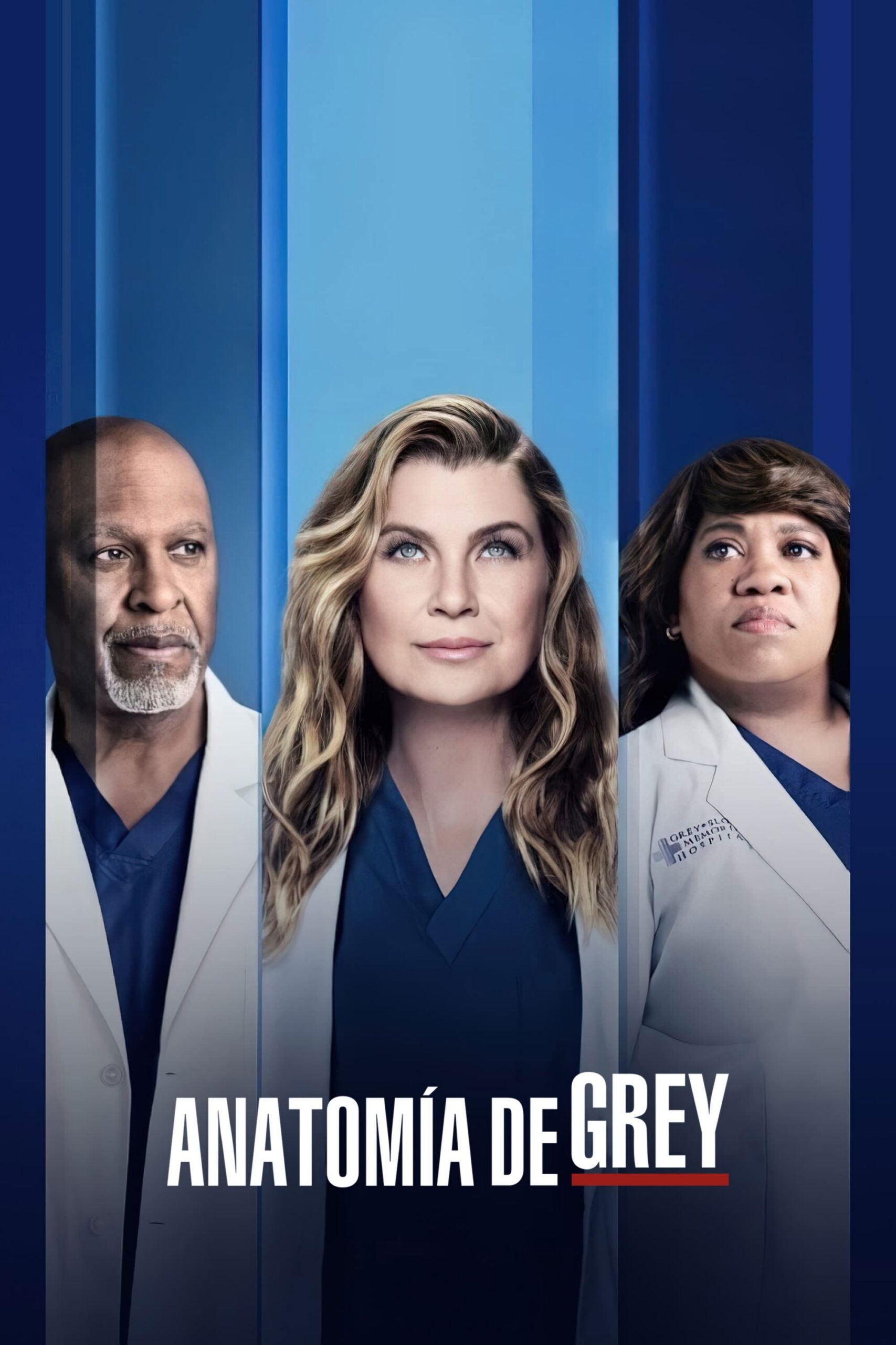 Anatomía según Grey